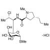  Clindamycin Hydrochloride 