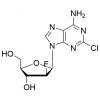  Clofarabine 