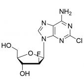  Clofarabine 