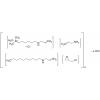  Colesevelam Hydrochloride 