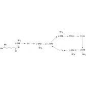  Colistin B Sulfate Salt (~90%) 