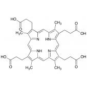  Coproporphyrin III 