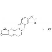  Coptisine Chloride 