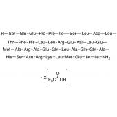  Corticotropin-releasing Factor 