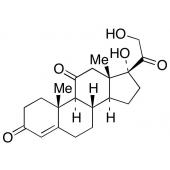  Cortisone 