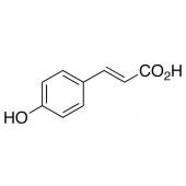  p-Coumaric acid 