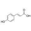  trans-p-Coumaric Acid 