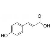  trans-p-Coumaric Acid 