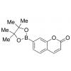  Coumarin-7-pinacolboronate 