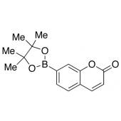  Coumarin-7-pinacolboronate 