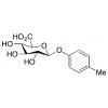  p-Cresol Glucuronide 