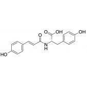  N-p-Coumaroyltyrosine (~98%) 