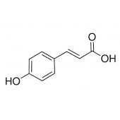  p-Coumaric acid 