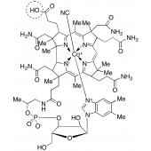  Cyanocobalamin-b-carboxylic 