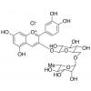  Cyanidin 3-O-Rutinoside (75%) 