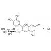  Cyanidin 3-Xyloside 