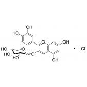  Cyanidin 3-Xyloside 