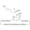  Cyclosporin A 