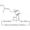  Cyclosporin A-13C2,d4 (Major) 