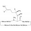  Cyclosporin A-d4 (Major) 