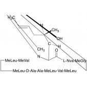  Cyclosporin G 