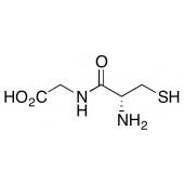  L-Cysteinylglycine 