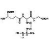  L-Cysteine-glutathione 