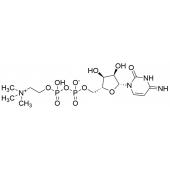  Cytidine 5'-Diphosphocholine 