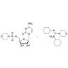  Cytidine 5'-Phosphoromorpholi 