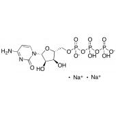  Cytidine 5'-Triphosphate 