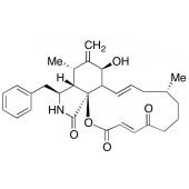  Cytochalasin A 