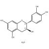  (+)-Catechin(AHP) 