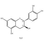  (+)-Catechin(AHP) 