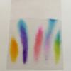  Papier chromatographie 