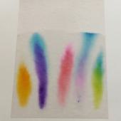  Papier chromatographie 