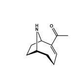  (+)-Anatoxin-a 