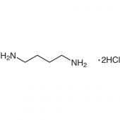  1,4-Diaminobutane Dihydro 