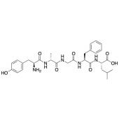  (D-Ala2)-Leu-Enkephalin H-Tyr- 