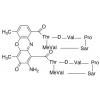  Actinomycin D (Dactinomycin) 