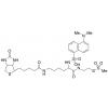  (N-Dansyl)biocytinamidoethyl 