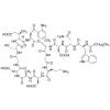  Daptomycin 