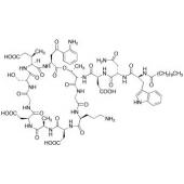  Daptomycin 