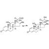  21-Dehydro Betamethasone 