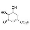  (-)-3-Dehydro Shikimic Acid 