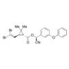  trans-Deltamethrin 