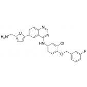  N-De[2-(methylsulfonyl)ethyl] 