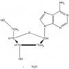  2'-Deoxyadenosine Monohydrate- 