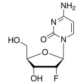  2-Deoxy-2-fluoro Cytidine 