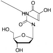  2-Deoxy-5-hydroxyuridine 