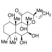  Desacetyl Forskolin 